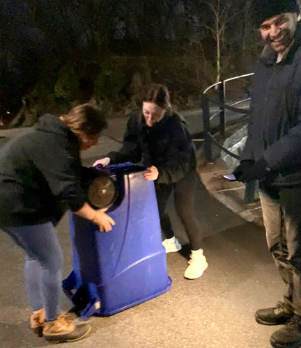 Beaver under a recycling bin