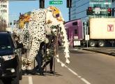 Cloth elephant on the move in South Boston