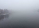 Charles River in the fog