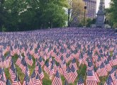 Memorial Day flags on Boston Common