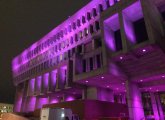 Purple City Hall