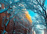 Snowy morning in Charlestown