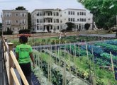 Rendering of proposed Flint Street farm