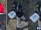 Domino's robbers