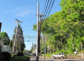 New telephone poles in Hyde Park