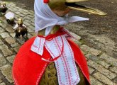 Public Garden duck familiy celebrates Belarussian Independence Day