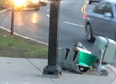 Downed traffic light on the Jamaicaway