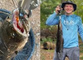 Snakehead and the guy who caught it