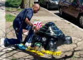 Commonwealth Avenue turtle statue