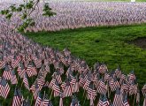 Memorial Day flags on Boston Common