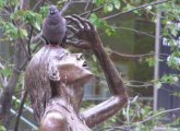 Irish Famine Memorial statue with a pigeon on her head