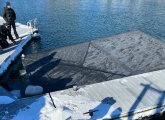 Roof of the White Elephant at North End dock