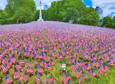 Memorial Day flags on Boston Common