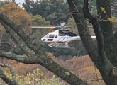 Helicopter seen through the trees