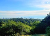 Downtown Boston as seen from Peters Hill in the Arboretum