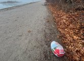 Frozen turkey by the Chestnut Hill Reservoir