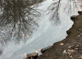 Oil sheen on the Muddy River near the Gardner Museum