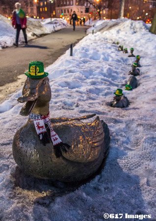 Make Way for Ducklings ducks are ready for St. Patrick's Day