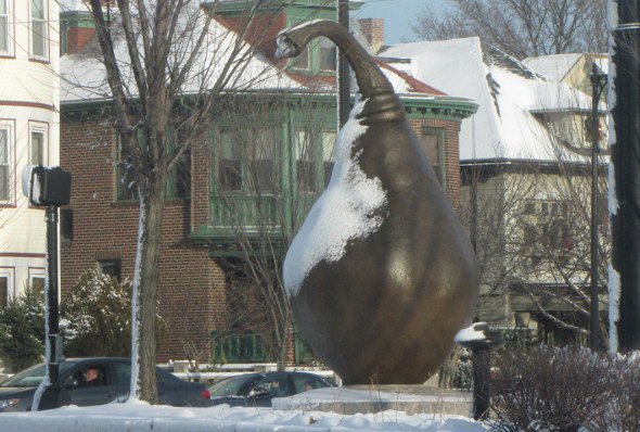 Snow-covered Clapp Pear in Dorchester