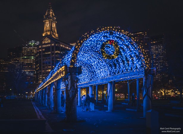 Lit trellis in Christopher Columbus Park