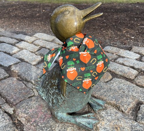 Duckling dressed in St. Patrick's attire