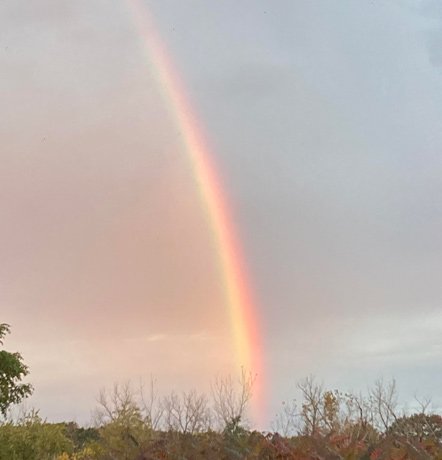 Rainbow over Millennium Park