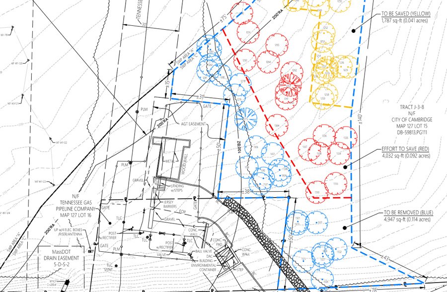 Map showing trees to be removed on the lot