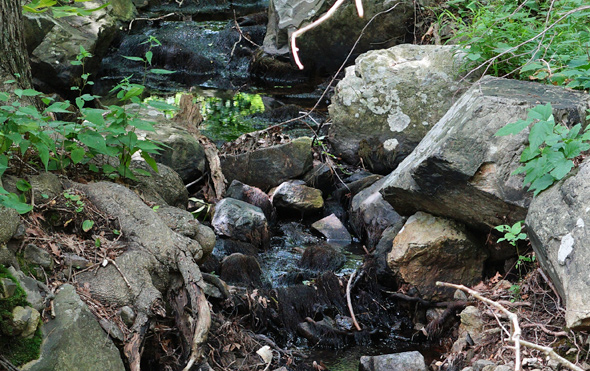 Stony Brook flows