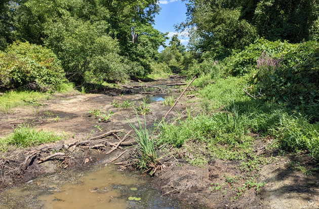 Drying up brook